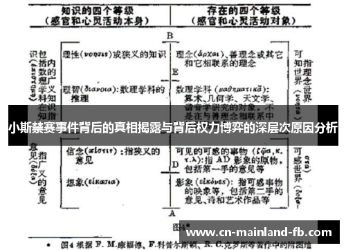 小斯禁赛事件背后的真相揭露与背后权力博弈的深层次原因分析