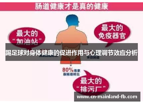 踢足球对身体健康的促进作用与心理调节效应分析