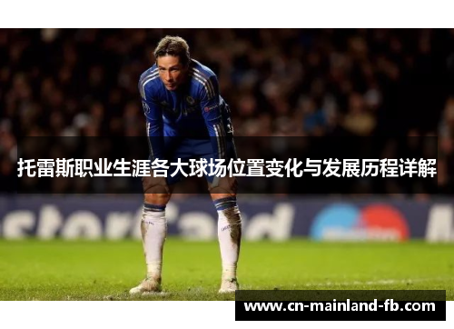 托雷斯职业生涯各大球场位置变化与发展历程详解