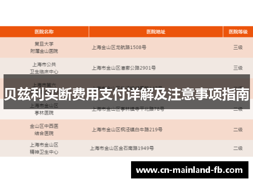 贝兹利买断费用支付详解及注意事项指南