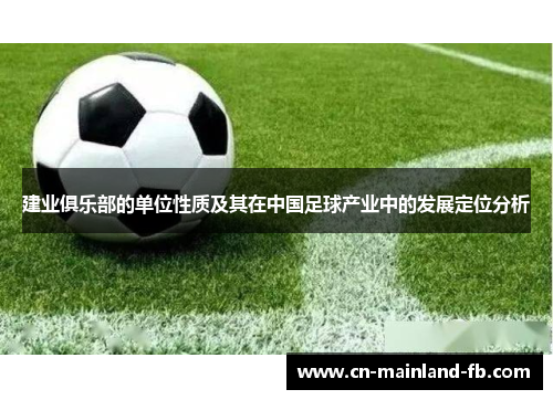 建业俱乐部的单位性质及其在中国足球产业中的发展定位分析