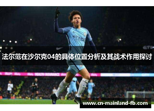 法尔范在沙尔克04的具体位置分析及其战术作用探讨