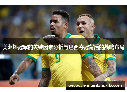 美洲杯冠军的关键因素分析与巴西夺冠背后的战略布局