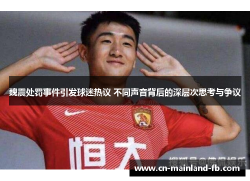 魏震处罚事件引发球迷热议 不同声音背后的深层次思考与争议