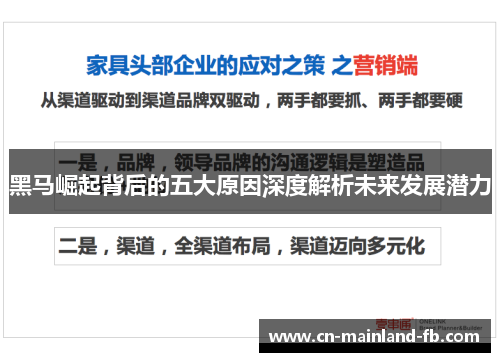 黑马崛起背后的五大原因深度解析未来发展潜力